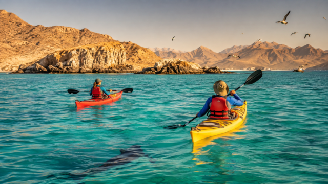 Kayakistas reman entre las islas del Parque Nacional Bahía de Loreto, Baja California Sur.